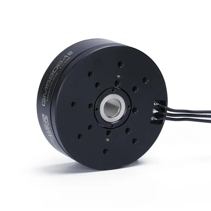 iPower GM5208 Brushless Gimbal Motor 12-Pole DSLR / LiDAR UAV Pod Motor