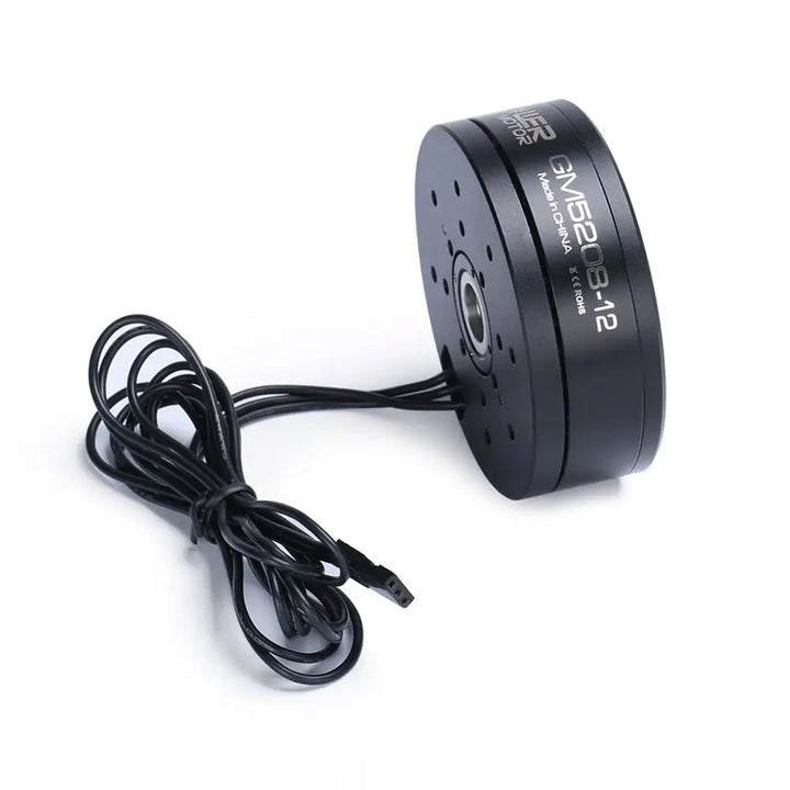 iPower GM5208 Brushless Gimbal Motor 12-Pole DSLR / LiDAR UAV Pod Motor
