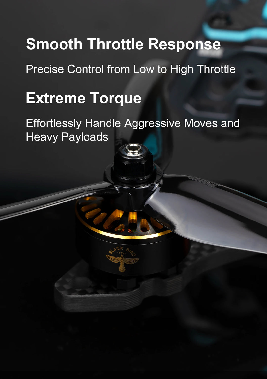 Axisflying BlackBird V4 2307 5inch Brushless Motor 1960KV 2060KV for FPV Freestyle Sbang Motor