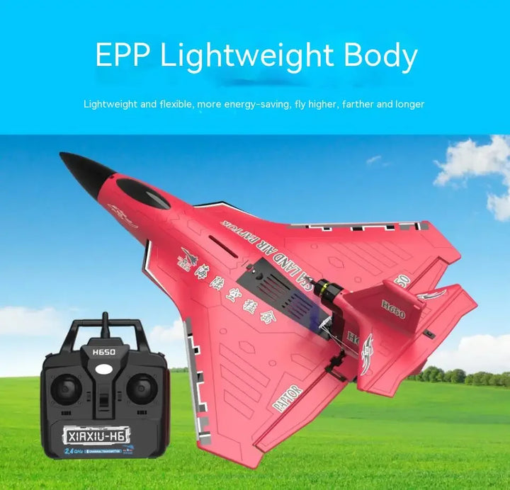 H650 RC Planes 6CH Brushless Motor Remote Control Airplanes 650mm Fixed Wing Plane Outdoor Toys Drone Toys for Boys for Adults