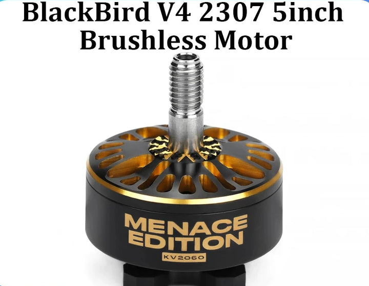 Axisflying BlackBird V4 2307 5inch Brushless Motor 1960KV 2060KV for FPV Freestyle Sbang Motor